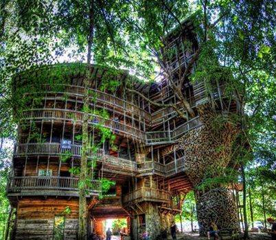 Tree Mansion