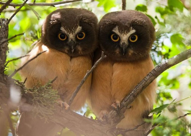 15 Images of the Cutest Brothers and Sisters Who Totally Adore Each Other