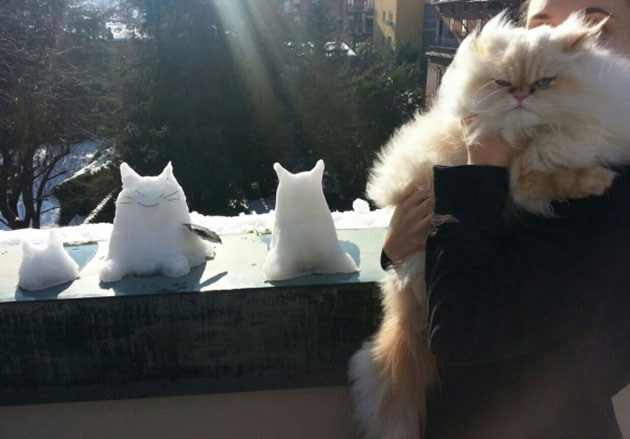 animals on a deep spiritual level