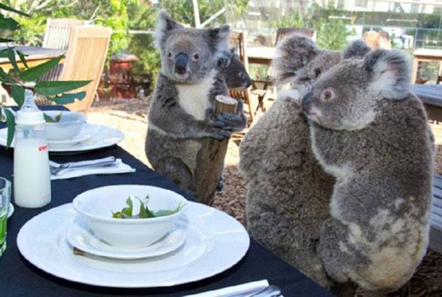 animals on a deep spiritual level