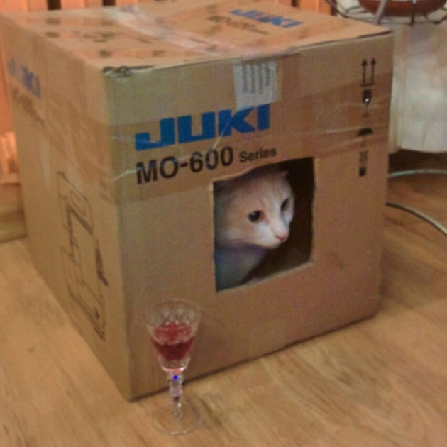 animals on a deep spiritual level