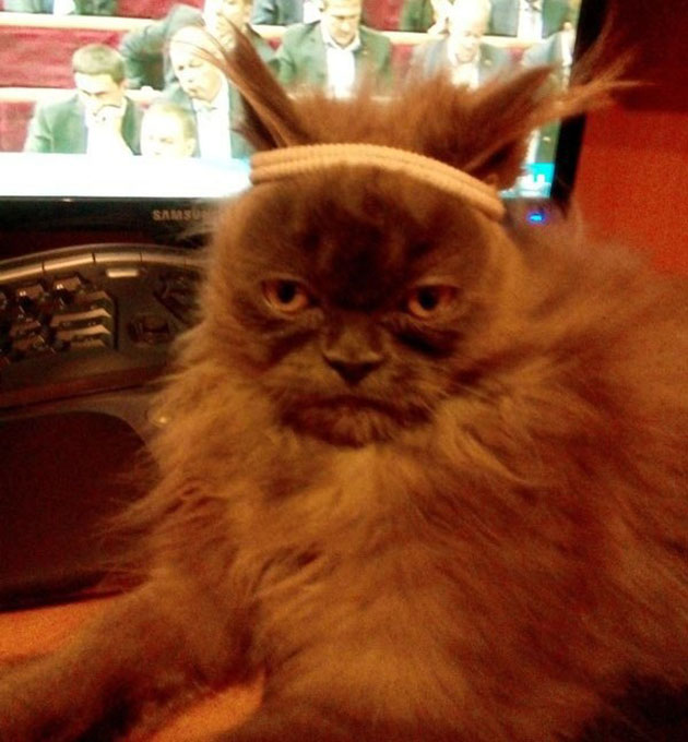 animals on a deep spiritual level