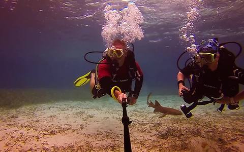 Ocean Life Compilation Captures The Stunning Beauty Of Life At Sea