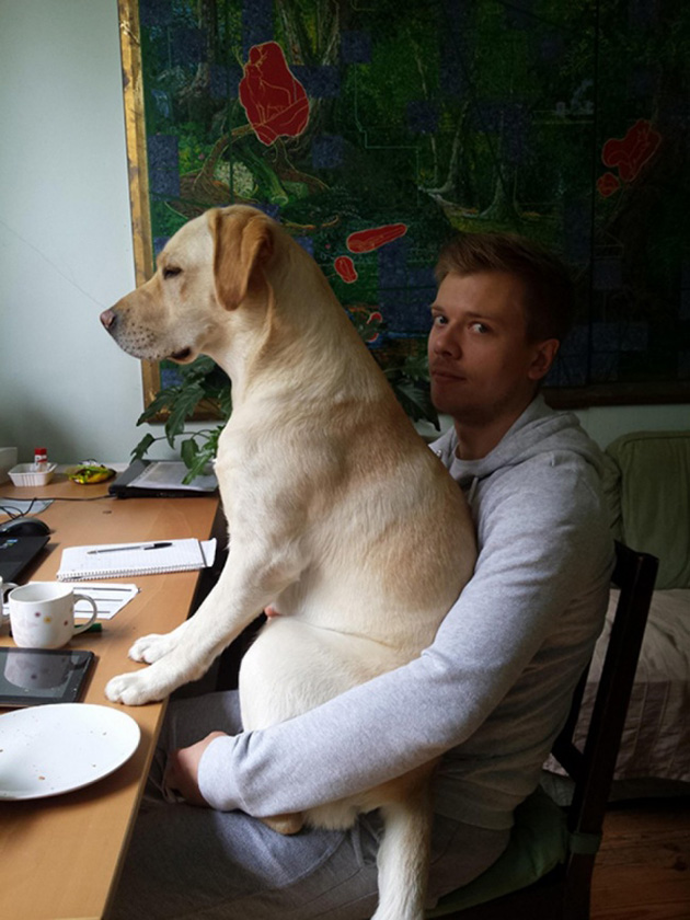 15 Hilarious Dogs Who Have Absolutely No Understanding of Personal Space
