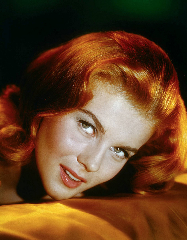 Ann Margret Classic Beauty Icon Of The 1960s 0835