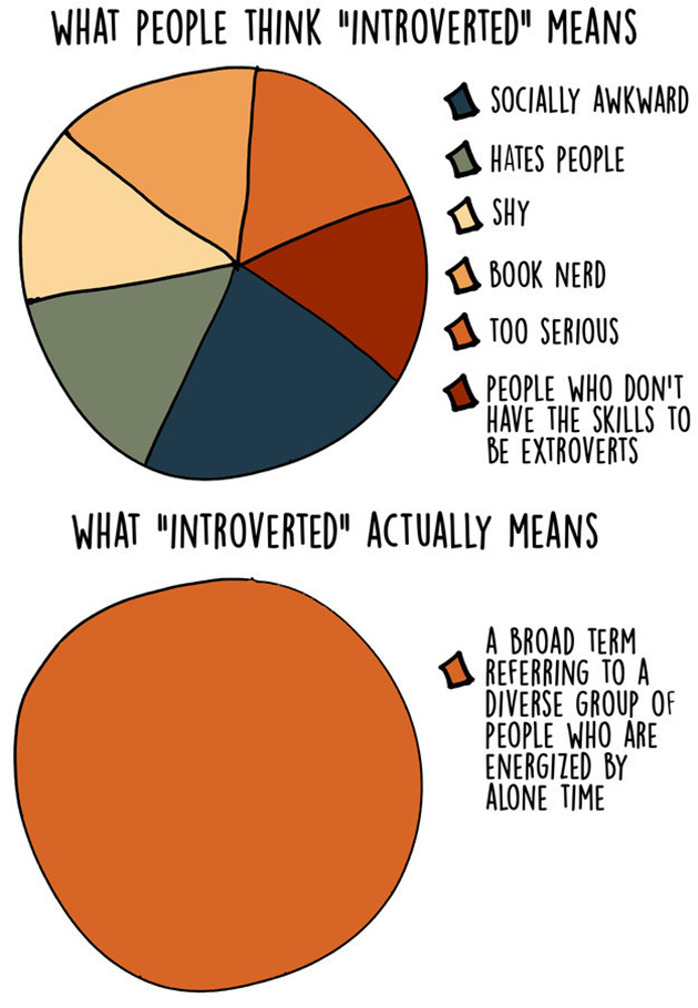 introvert graphs