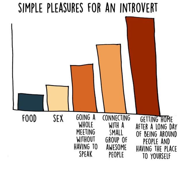 introvert graphs