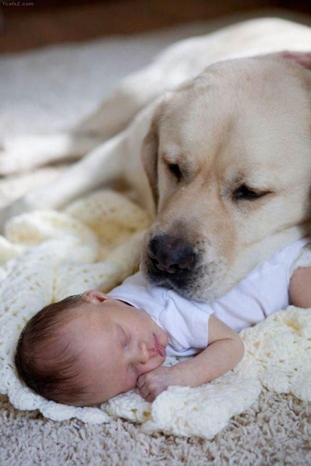 25 photos which show why every child should have a pet