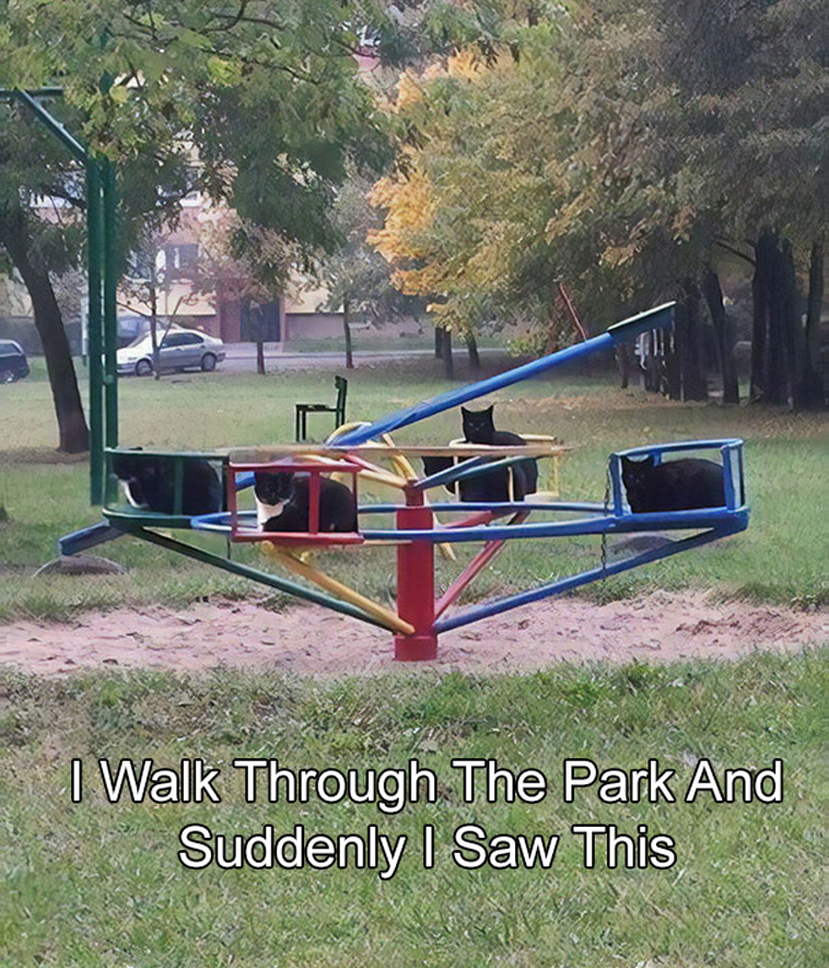 40+ Pic Or It Didn&#039;t Happen Background