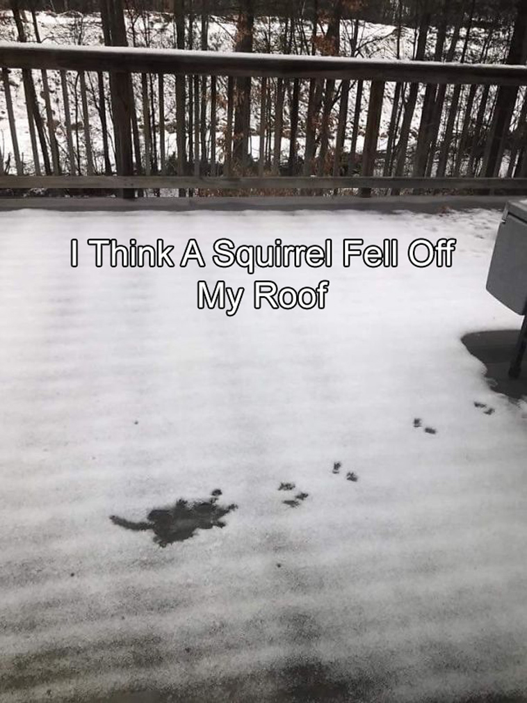 20+ Times �Pics Or It Didn�t Happen� Actually Happened