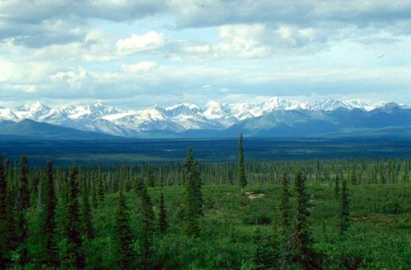 Unique_Family_in_The_Siberian_Taiga