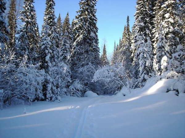 Unique_Family_in_The_Siberian_Taiga