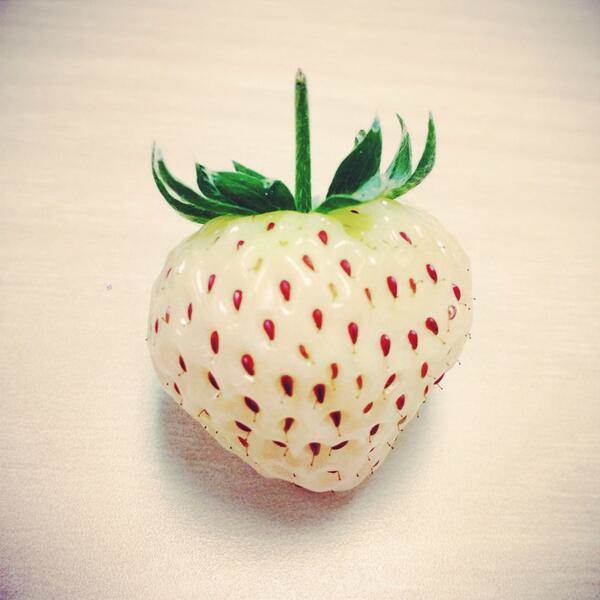 pineapple_fact