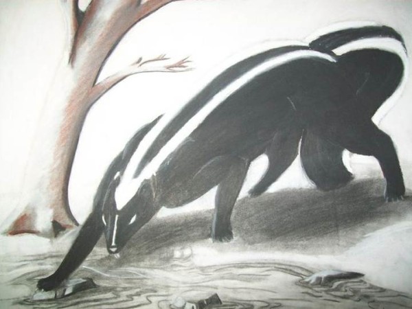 Aniwye, The Giant Skun