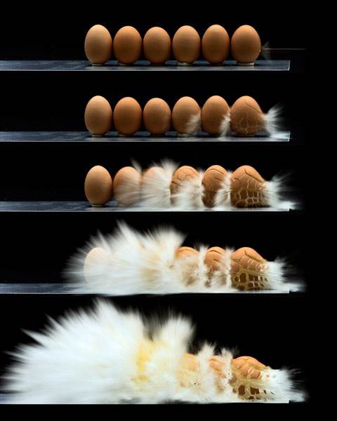 Eggsellent_Work