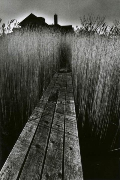 Planks Across the Pond