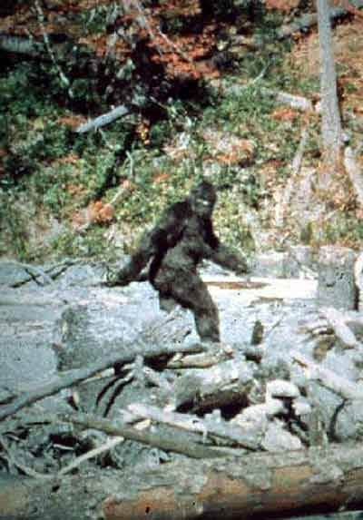 Shampe (Bigfoot)