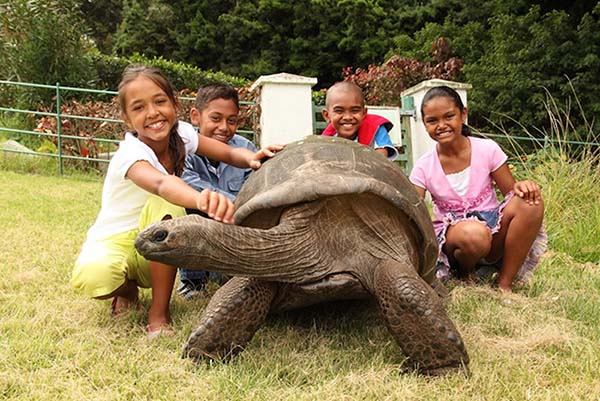 182-year-old-tortoise