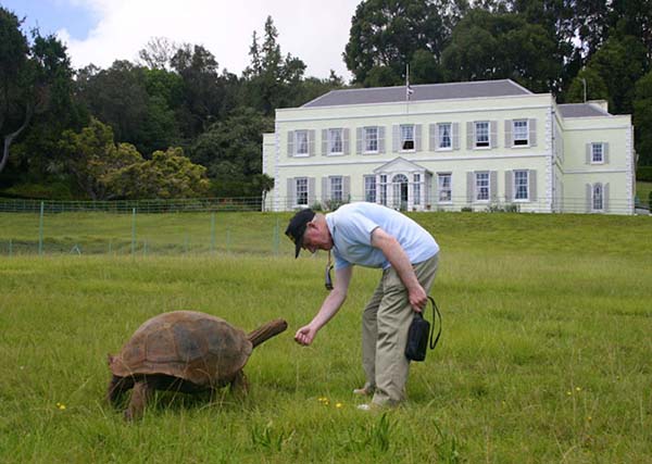 82-year-old-tortoise-jonathan