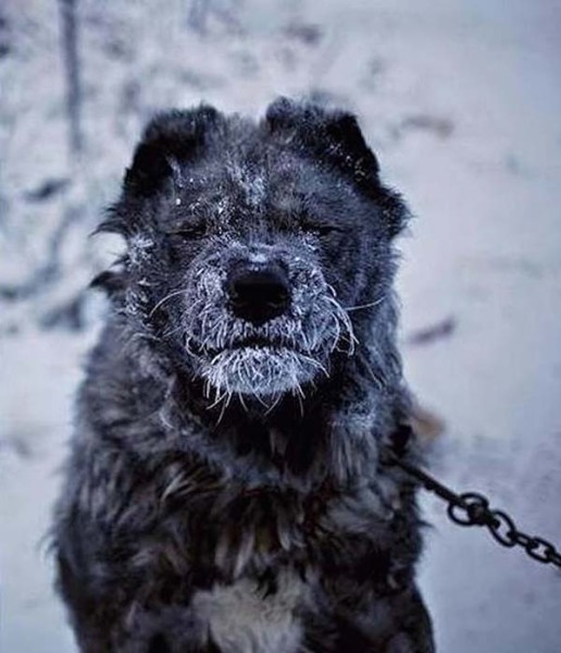 The-Coldest-Place-Inhabited-By-Humans-on-Earth