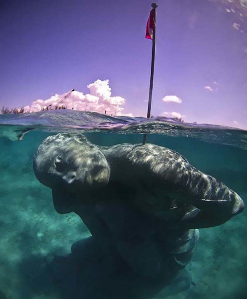 underwater sculpture