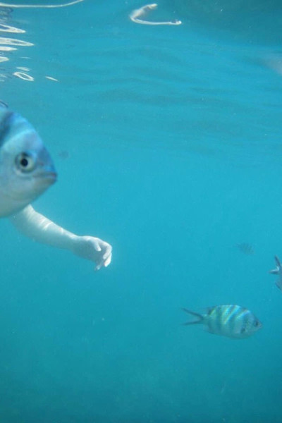 perfectly-timed-photos