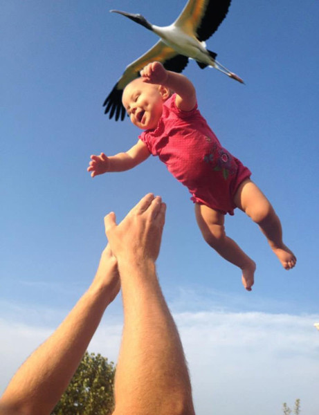 perfectly-timed-photos