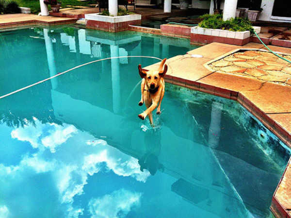 perfectly-timed-photos