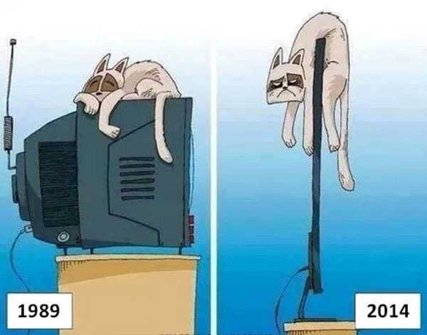 Photos That'll Take You On A Journey Back In Time