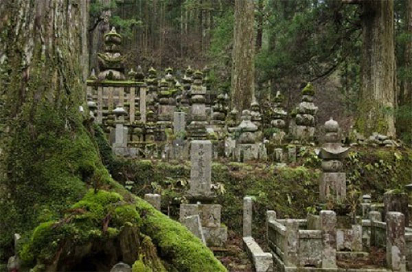 Scary Cemeteries