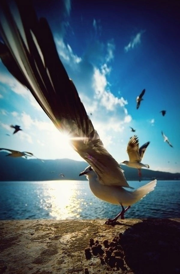 Give Up To Be Happy