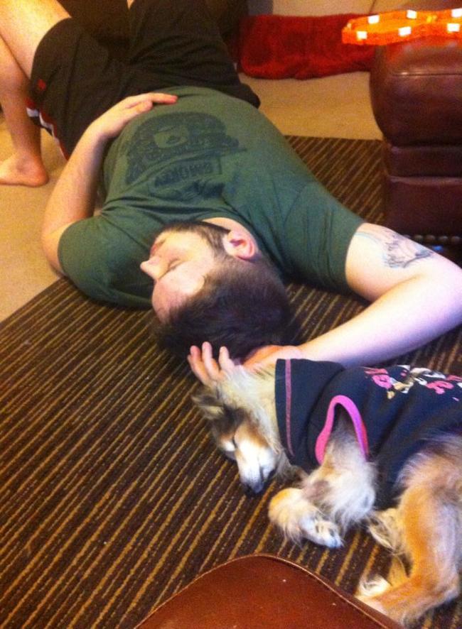 dog rescue