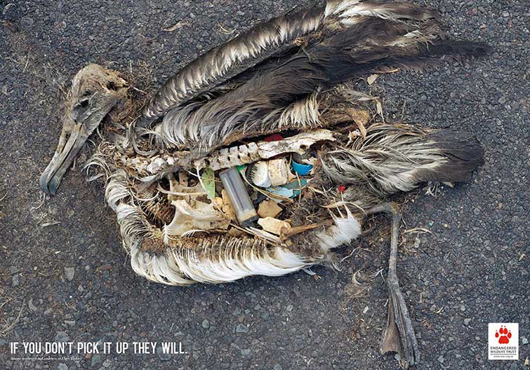 Powerful Social Issue Ads