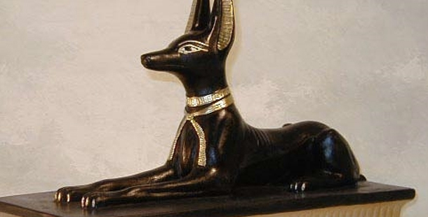 Why Your Next Dog Should Be A Greyhound
