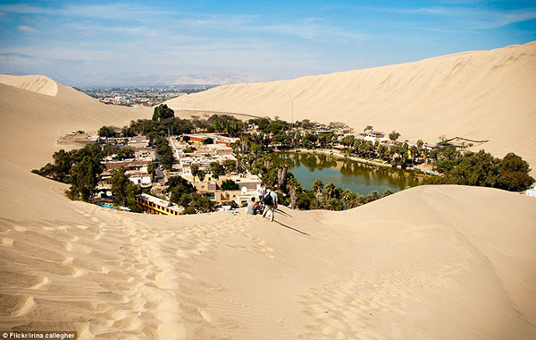 Mystical Oasis Town