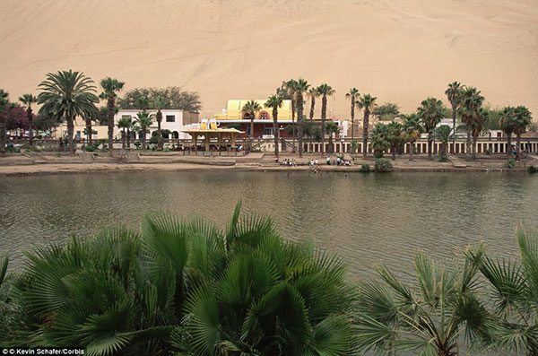 Mystical Oasis Town