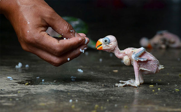 Give Up To Be Happy