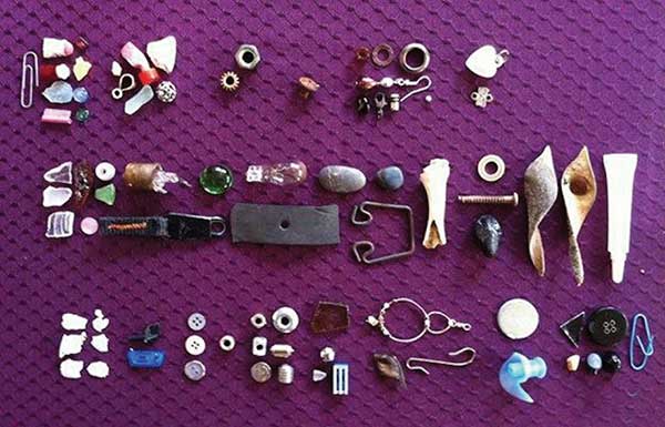Gifts From Crows
