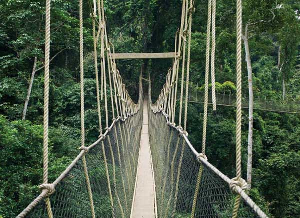 terrifying bridges