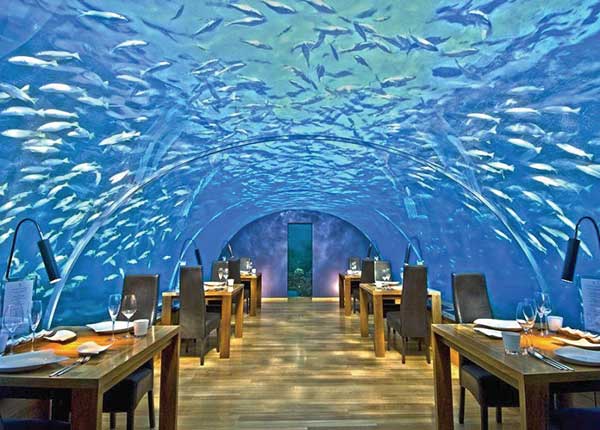 Craziest Restaurants