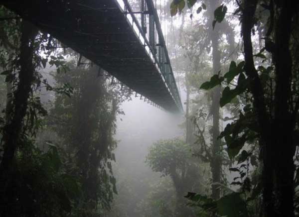 terrifying bridges