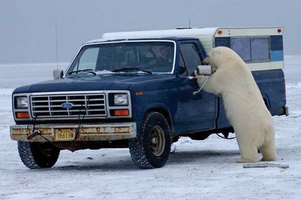 Need-A-Ride