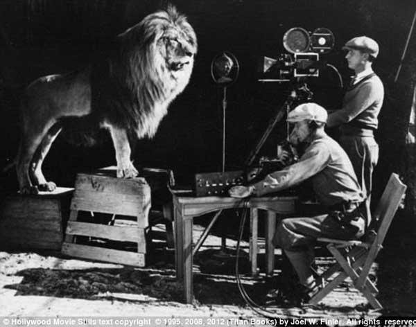 the mgm lion