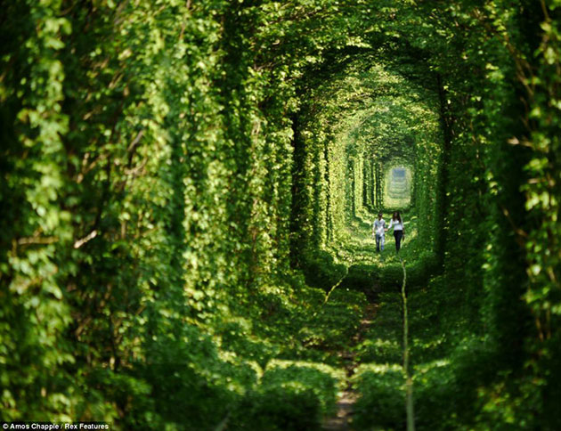 Tunnel-of-Love-in-Ukraine-1