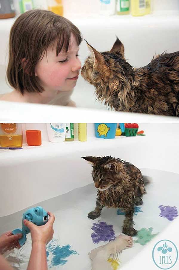 cat loves water