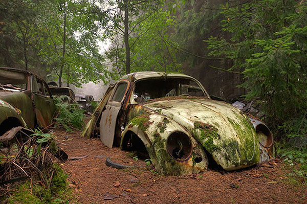 Traffic Jam Was Stuck In Belgium Forest