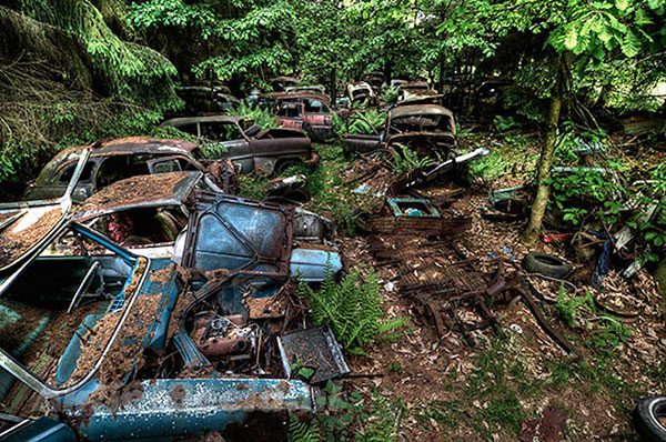 Traffic Jam Was Stuck In Belgium Forest