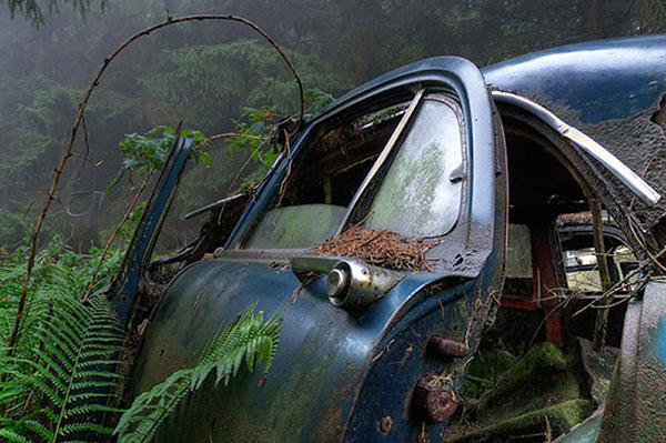 Traffic Jam Was Stuck In Belgium Forest