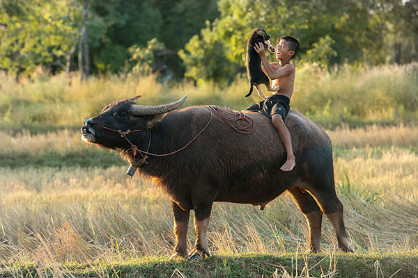 Children Playing Around The World