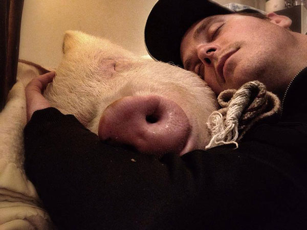 Adopted A Mini-Pig